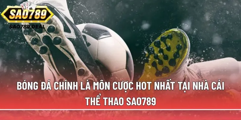 Sao789 - Trang cá cược thể thao uy tín hàng đầu tại Việt Nam 3 Bóng đá chính là môn cược hot nhất