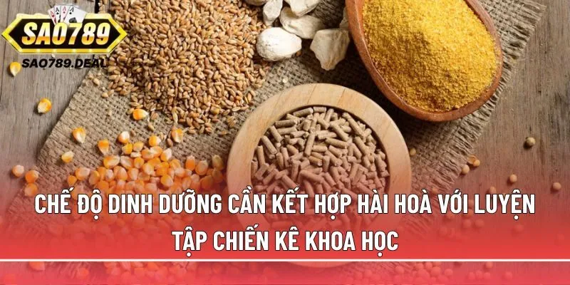 Gà chọi Thái: Ngoại hình, tính cách và kỹ thuật nuôi đỉnh cao 2 Chế độ dinh dưỡng