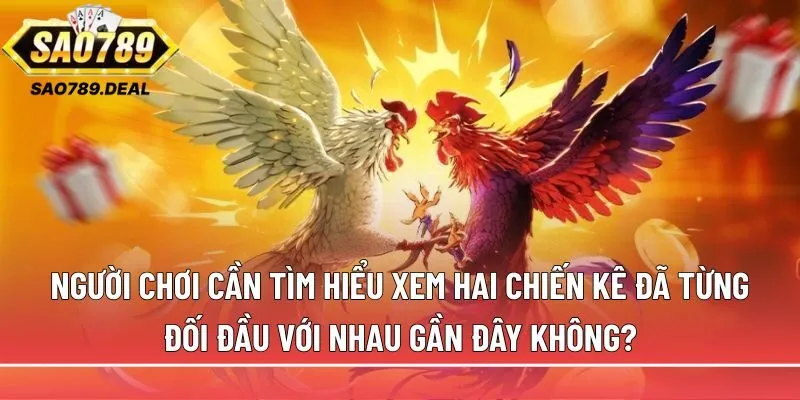 Đá gà trực tiếp Thomo: Cách xem, cược và nhận biết trận hay 3 Người chơi cần tìm hiểu xem hai chiến kê