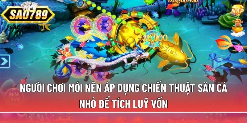 Bắn cá hoàng kim: Săn boss quý tộc, rinh ngàn xu khủng 3 chiến thuật săn cá nhỏ để tích luỹ vốn